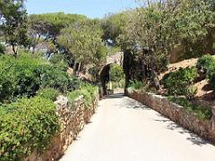 183 D33 ILE DE BENDOR_000065